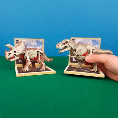 Figura armable dinosaurios anatomía animal plástico diseño aleatorio 3+ - Miniso