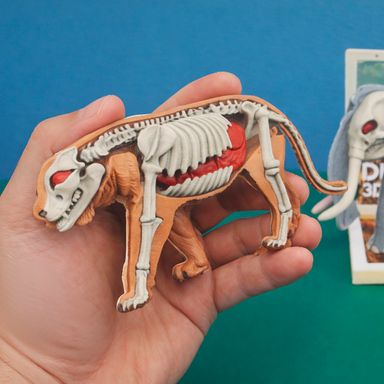 Figura armable animales salvajes anatomía animal plástico diseño aleatorio 3+ - Miniso
