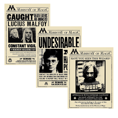 Set para jugar póster lenticular del misterio de magia colección harry potter - Harry Potter